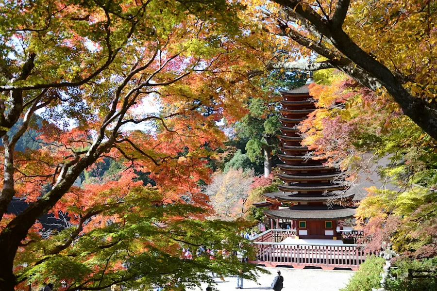 紅葉の木々の隙間から見える談山神社十三重の塔